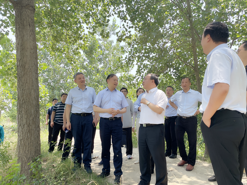 省交通运输厅厅长聂爱国调研合肥港长丰庄墓码头